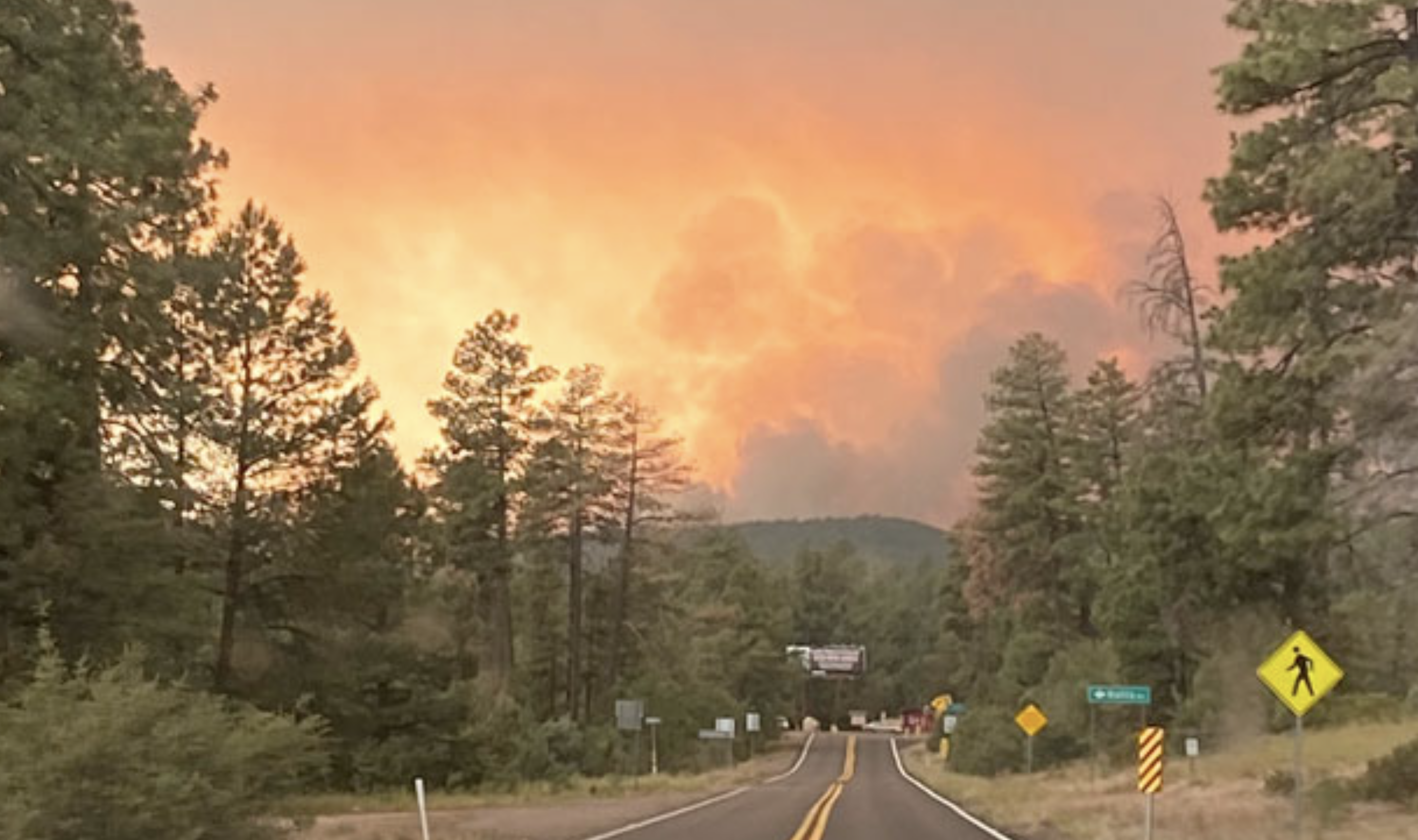 Efforts to support Backbone Fire evacuees with #StrawberryStrong - Vimarsana News